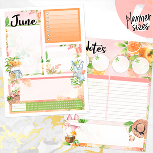 June Spring Bouquet Notes monthly sticker - Erin Condren Vertical Horizontal 7"x9", Happy Planner Classic, Mini & Big