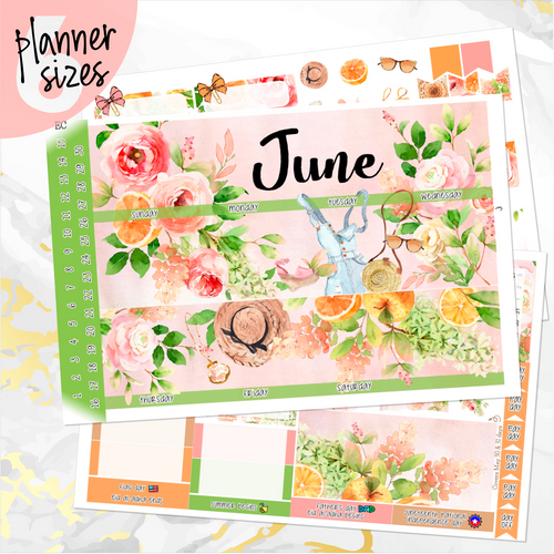 June Spring Bouquet monthly - Erin Condren Vertical Horizontal 7