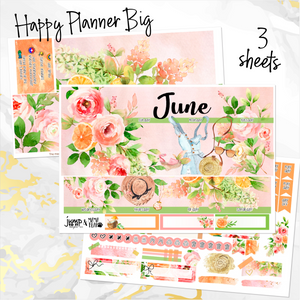 June Spring Bouquet monthly - Erin Condren Vertical Horizontal 7"x9", Happy Planner Classic, Mini & Big