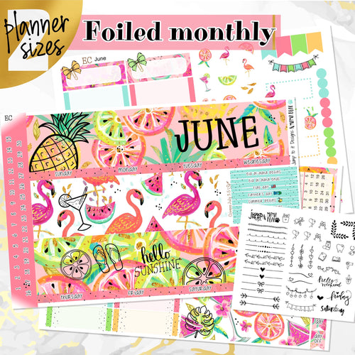 June Hello Summer FOILED monthly - Erin Condren Vertical Horizontal 7