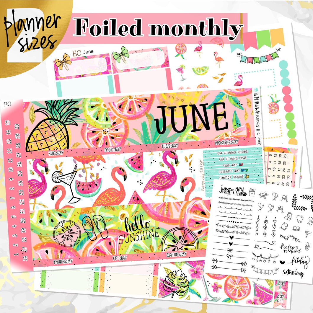 June Hello Summer FOILED monthly - Erin Condren Vertical Horizontal 7