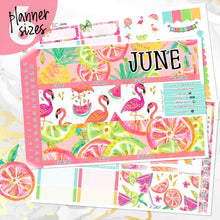 Load image into Gallery viewer, June Hello Summer monthly - Erin Condren Vertical Horizontal 7&quot;x9&quot;, Happy Planner Classic, Mini &amp; Big