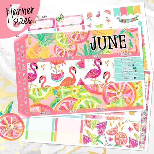 June Hello Summer monthly - Erin Condren Vertical Horizontal 7