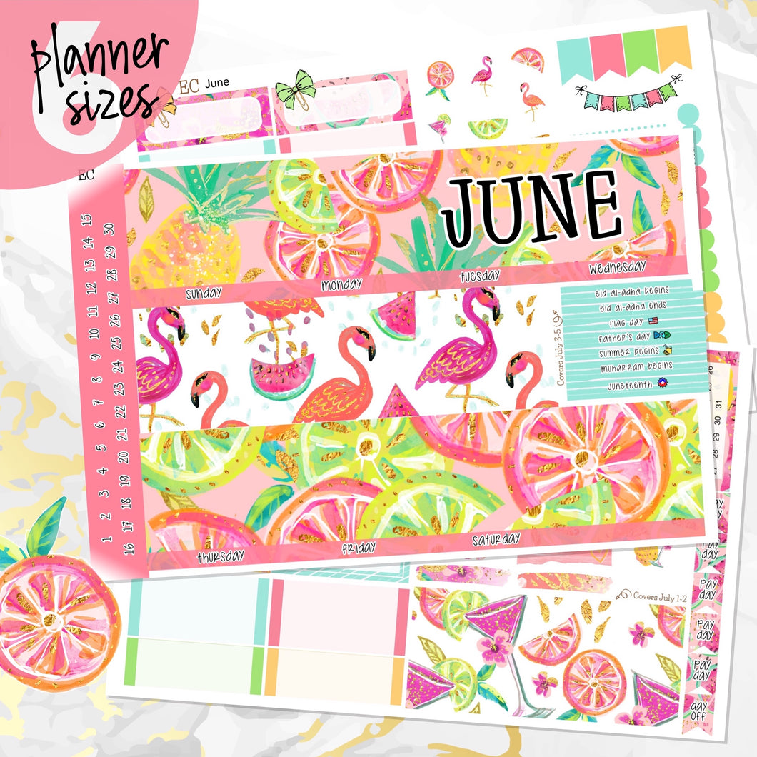 June Hello Summer monthly - Erin Condren Vertical Horizontal 7