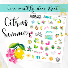 Load image into Gallery viewer, June Citrus Summer Deco sheet - planner stickers          (S-109-72)
