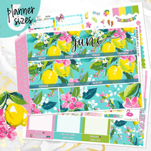 Load image into Gallery viewer, June Citrus Summer monthly - Erin Condren Vertical Horizontal 7"x9", Happy Planner Classic, Mini &amp; Big