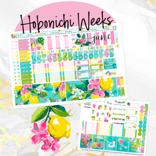 Load image into Gallery viewer, June Citrus Summer monthly - Hobonichi Weeks personal planner