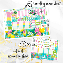 Load image into Gallery viewer, June Citrus Summer monthly - Hobonichi Weeks personal planner