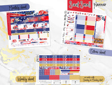 Load image into Gallery viewer, July Freedom -for Laurel Denise Planner stickers -Scout/Portrait, Anne/Vertical, Nancy/Horizontal, Rose/Project &amp; Mini