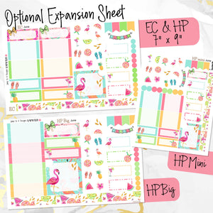 June Hello Summer monthly - Erin Condren Vertical Horizontal 7"x9", Happy Planner Classic, Mini & Big