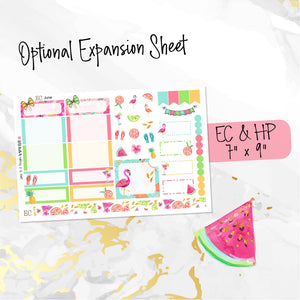 June Hello Summer FOILED monthly - Erin Condren Vertical Horizontal 7"x9", Happy Planner Classic