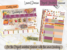 Load image into Gallery viewer, November Spice -for Laurel Denise Planner stickers - Portrait, Mini, Vertical, Horizontal &amp; Project