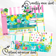 Load image into Gallery viewer, HOBONICHI COUSIN Full Year Monthly Bundle - 12 monthly kits