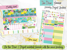 Load image into Gallery viewer, June Citrus Summer -for Laurel Denise Planner stickers -Scout/Portrait, Anne/Vertical, Nancy/Horizontal, Rose/Project &amp; Mini