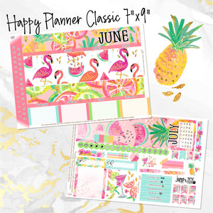 June Hello Summer monthly - Erin Condren Vertical Horizontal 7"x9", Happy Planner Classic, Mini & Big