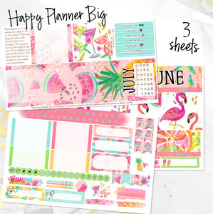 June Hello Summer monthly - Erin Condren Vertical Horizontal 7"x9", Happy Planner Classic, Mini & Big