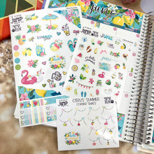 Load image into Gallery viewer, June Citrus Summer Deco sheet - planner stickers          (S-109-72)