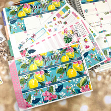 Load image into Gallery viewer, June Citrus Summer monthly - Erin Condren Vertical Horizontal 7"x9", Happy Planner Classic, Mini &amp; Big