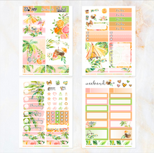 Load image into Gallery viewer, August Sunkissed Summer - POCKET Mini Weekly Kit Planner stickers