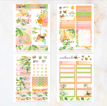 Load image into Gallery viewer, Sunkissed Summer - POCKET Mini Weekly Kit Planner stickers