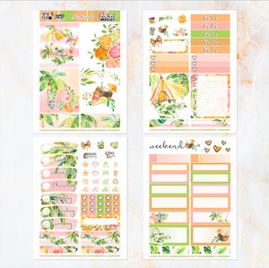 August Sunkissed Summer - POCKET Mini Weekly Kit Planner stickers