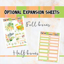 Load image into Gallery viewer, Sunkissed Summer - POCKET Mini Weekly Kit Planner stickers