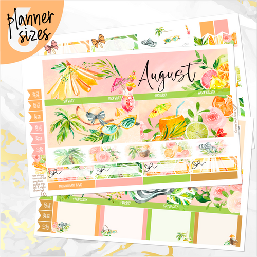August Sunkissed Summer monthly - Erin Condren Vertical Horizontal 7