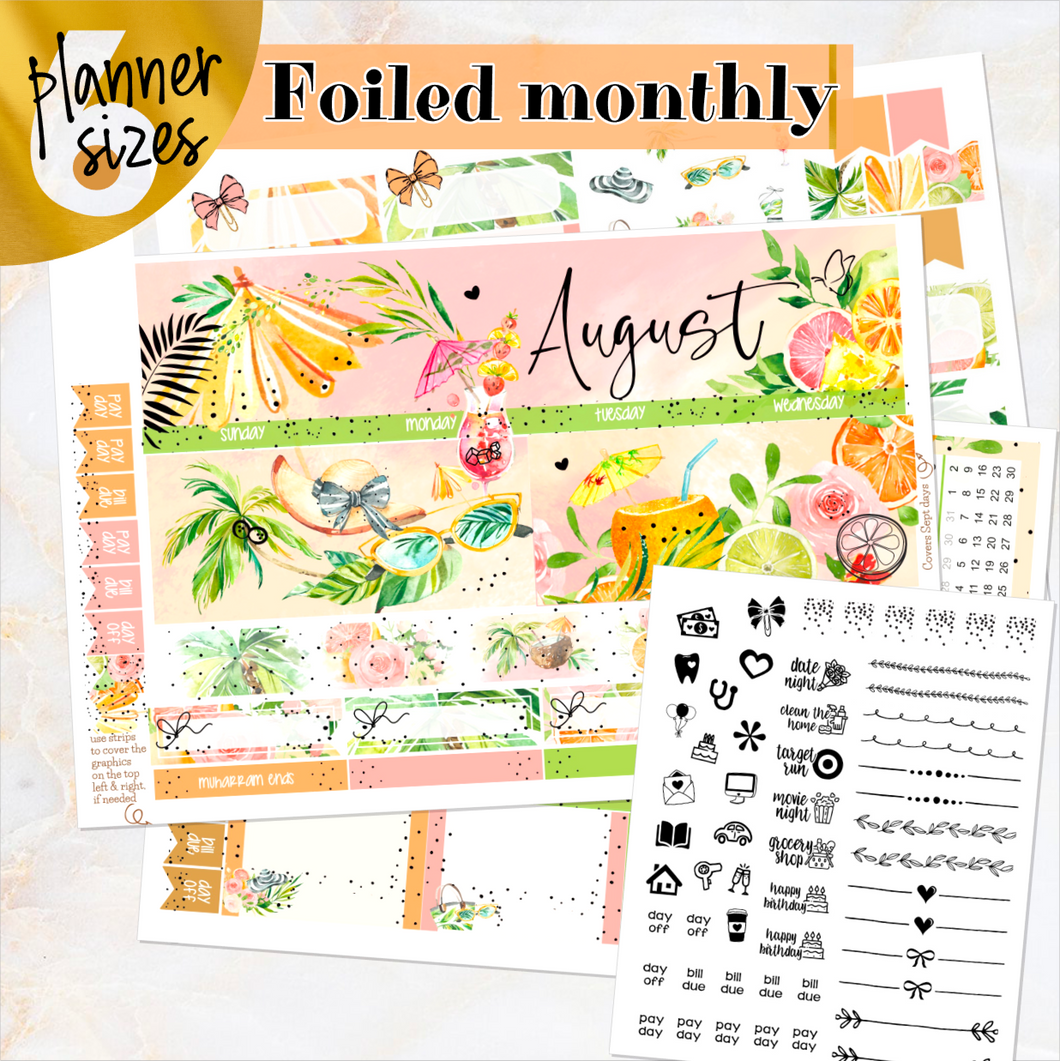 August Sunkissed Summer FOILED monthly - Erin Condren Vertical Horizontal 7