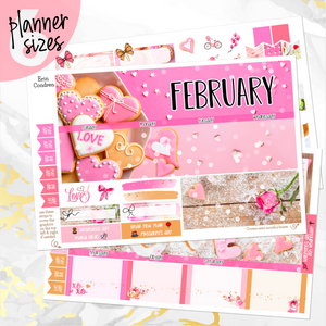 February Valentine Love monthly - Erin Condren Vertical Horizontal 7"x9", Happy Planner Classic, Mini & Big