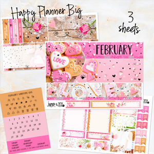 February Valentine Love FOILED monthly - Erin Condren Vertical Horizontal 7"x9", Happy Planner Classic, Mini & Big