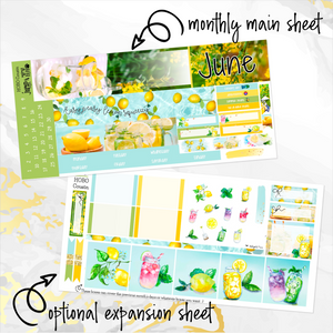 June Lemon Breeze monthly - Hobonichi Cousin A5 personal planner