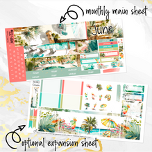 Load image into Gallery viewer, June Summer Oasis monthly - Hobonichi Cousin A5 personal planner