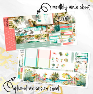 June Summer Oasis monthly - Hobonichi Cousin A5 personal planner