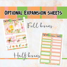 Load image into Gallery viewer, Summer Delight - POCKET Mini Weekly Kit Planner stickers