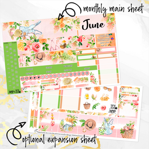 June Spring Bouquet monthly - Hobonichi Cousin A5 personal planner