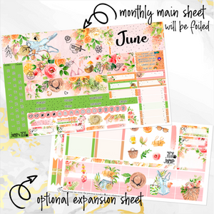 June Spring Bouquet FOILED monthly - Hobonichi Cousin A5 personal planner