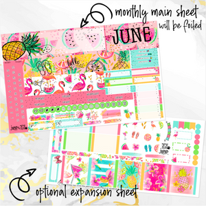 June Hello Summer FOILED monthly - Hobonichi Cousin A5 personal planner