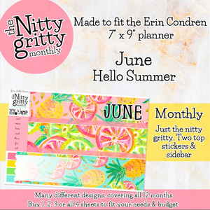 June Hello Summer - The Nitty Gritty Monthly - Erin Condren Vertical Horizontal