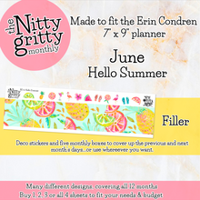 Load image into Gallery viewer, June Hello Summer - The Nitty Gritty Monthly - Erin Condren Vertical Horizontal