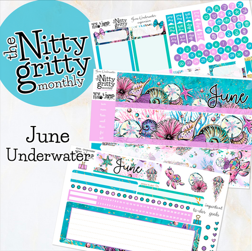 June Underwater - The Nitty Gritty Monthly - Erin Condren Vertical Horizontal