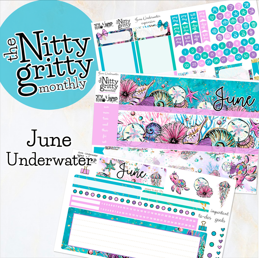 June Underwater - The Nitty Gritty Monthly - Erin Condren Vertical Horizontal