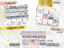 Load image into Gallery viewer, January Winter Haze FOIL -for Laurel Denise Planner stickers -Scout/Portrait, Anne/Vertical, Nancy/Horizontal, Small/Mini