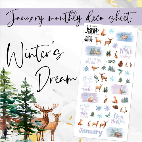 January Winter’s Dream Deco sheet - planner stickers          (S-109-20)