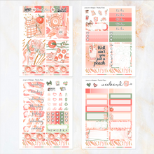 Load image into Gallery viewer, Peachy Keen - POCKET Mini Weekly Kit Planner stickers