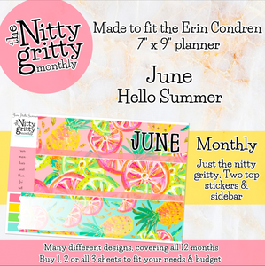 June Hello Summer - The Nitty Gritty Monthly - Erin Condren Vertical Horizontal