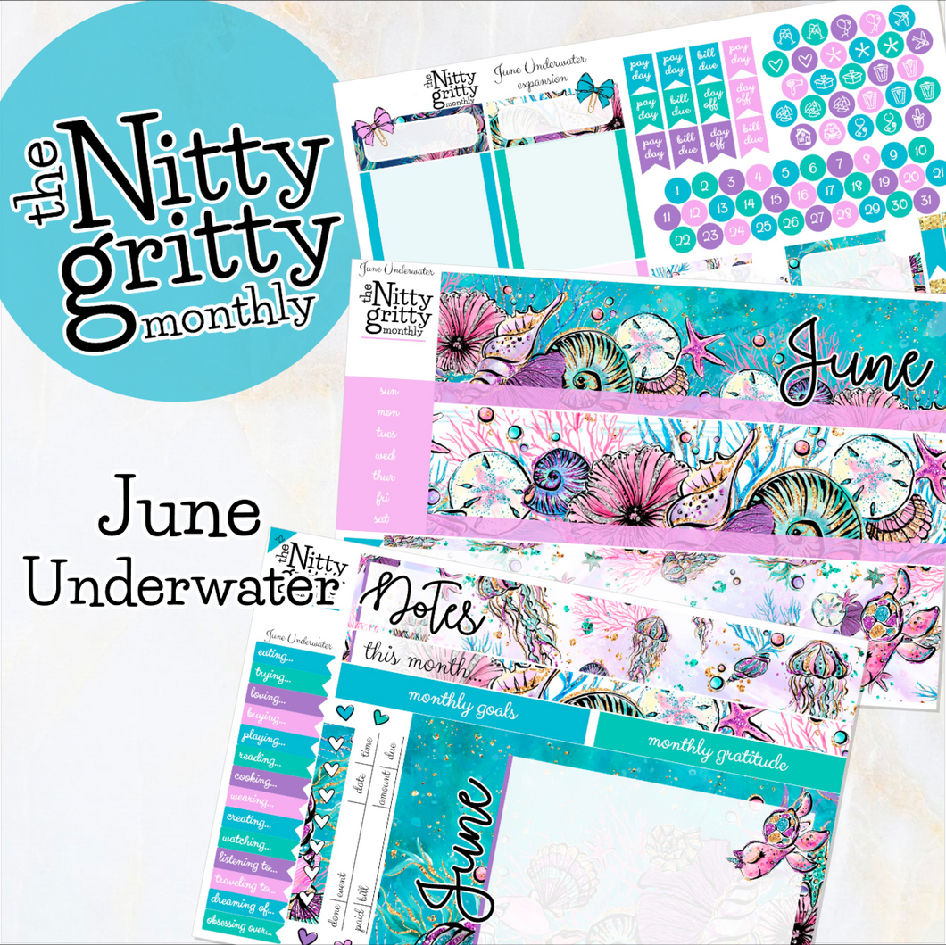 June Underwater - The Nitty Gritty Monthly - Erin Condren Vertical Horizontal