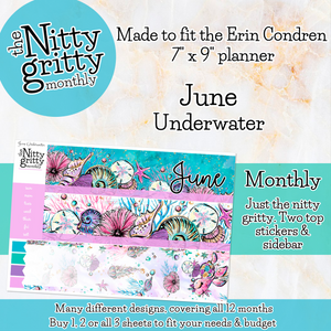 June Underwater - The Nitty Gritty Monthly - Erin Condren Vertical Horizontal