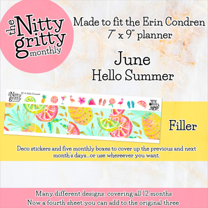 June Hello Summer - The Nitty Gritty Monthly - Erin Condren Vertical Horizontal
