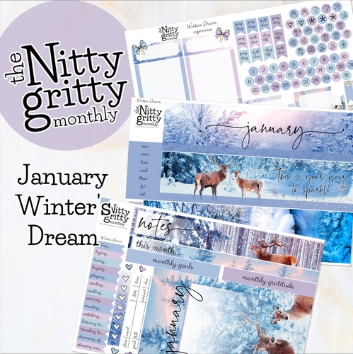 January Winter’s Dream - The Nitty Gritty Monthly - Erin Condren Vertical Horizontal