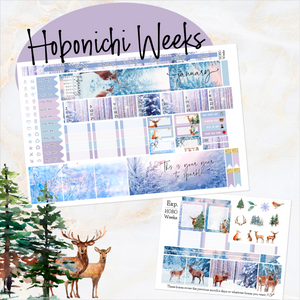 January Winters Dream monthly - Hobonichi Weeks personal planner